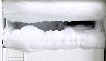 fridge 3